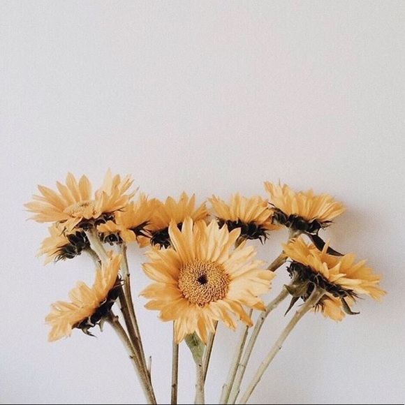 Meet your Posher, Sav - Picture 1 of 1